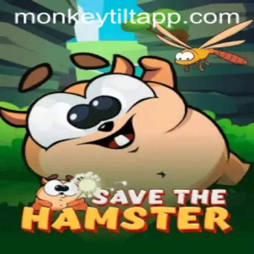 Exploring the Whimsical World of SavetheHamster and Tackling Monkey Tilt